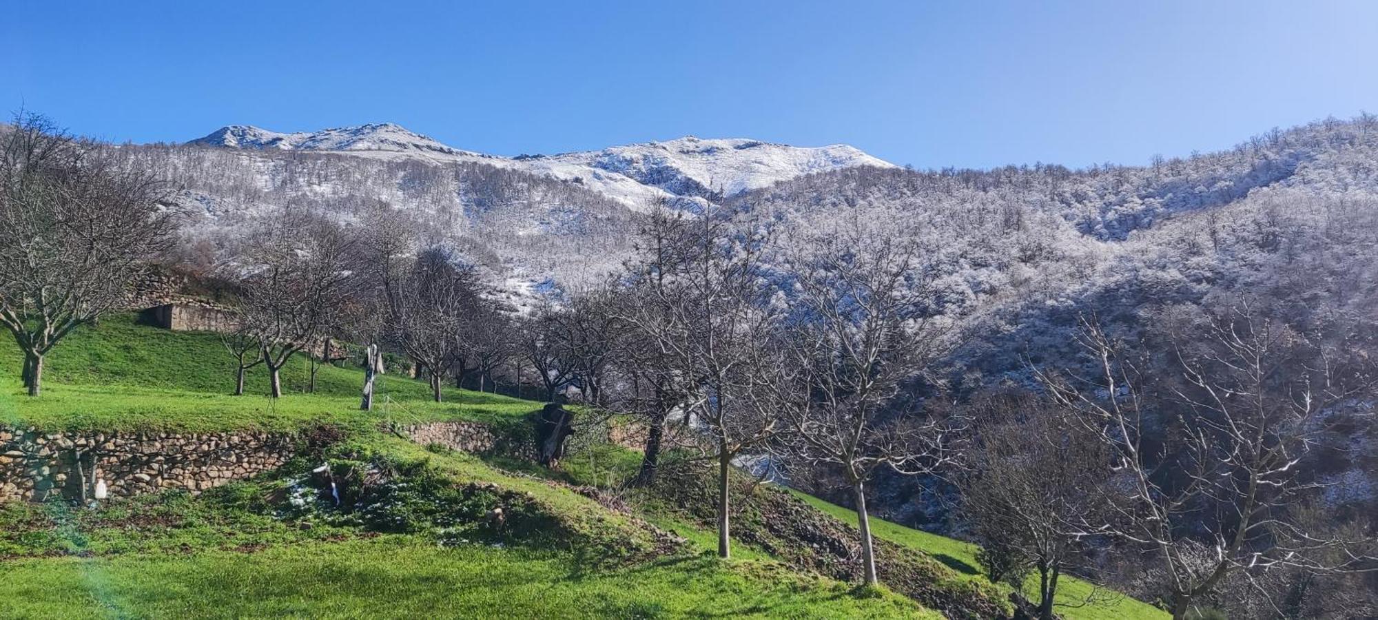 Nuestra Casa De Luriezo Βίλα Cabezón de Liébana Εξωτερικό φωτογραφία